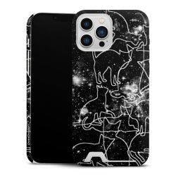 Premium Card Case glossy