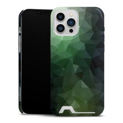 Premium Card Case glossy