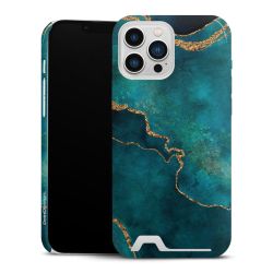 Premium Card Case glossy