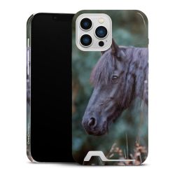 Premium Card Case glossy