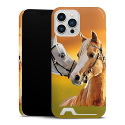 Premium Card Case glossy