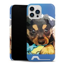 Premium Card Case glossy