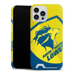 Premium Card Case glossy
