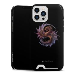 Premium Card Case glossy