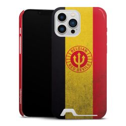 Premium Card Case glossy