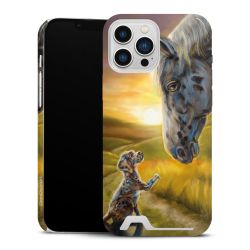 Premium Card Case glossy