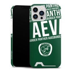 Premium Card Case glossy