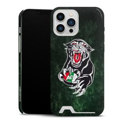 Premium Card Case glossy