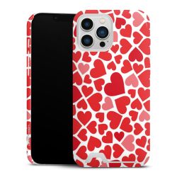 Premium Card Case glossy