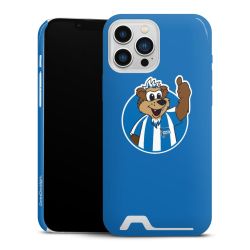 Premium Card Case glossy