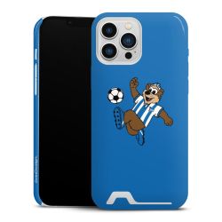 Premium Card Case glossy