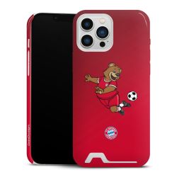 Premium Card Case glossy