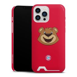 Premium Card Case glossy