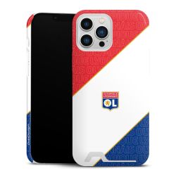 Premium Card Case glossy