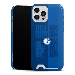 Premium Card Case glossy