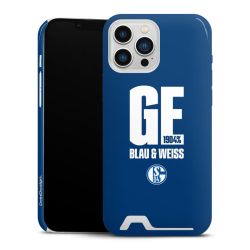 Premium Card Case glossy