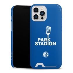 Premium Card Case glossy