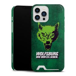 Premium Card Case glossy