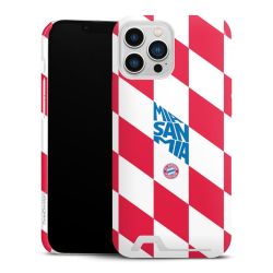 Premium Card Case glossy