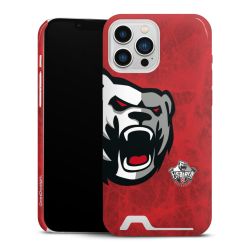 Premium Card Case glossy