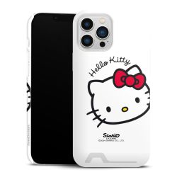 Premium Card Case glossy