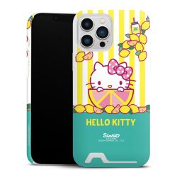 Premium Card Case glossy