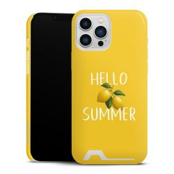 Premium Card Case glossy