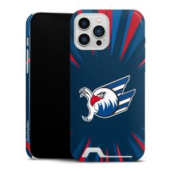 Premium Card Case glossy