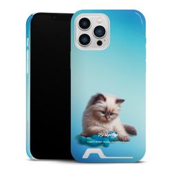 Premium Card Case glossy