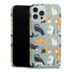 Premium Card Case glossy