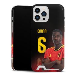 Premium Card Case glossy