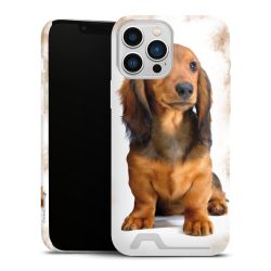 Premium Card Case matt