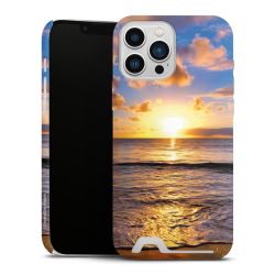 Premium Card Case matt