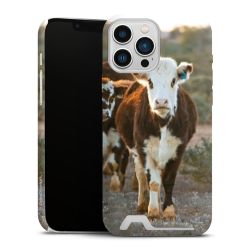 Premium Card Case matt