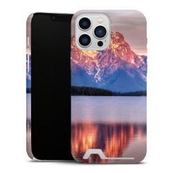 Premium Card Case matt