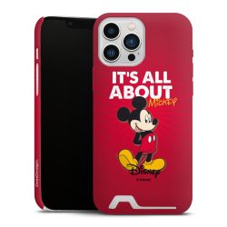 Premium Card Case matt