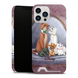 Premium Card Case matt