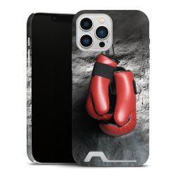 Premium Card Case matt