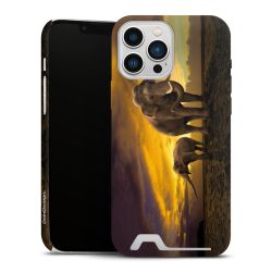 Premium Card Case matt