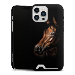 Premium Card Case matt