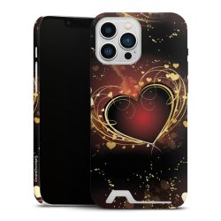 Premium Card Case matt