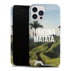 Premium Card Case matt