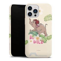 Premium Card Case matt