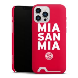 Premium Card Case matt