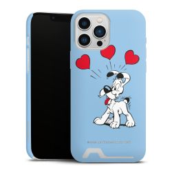 Premium Card Case matt