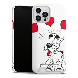 Premium Card Case matt