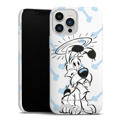 Premium Card Case matt