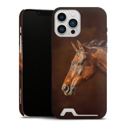 Premium Card Case matt