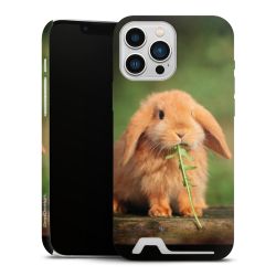 Premium Card Case matt