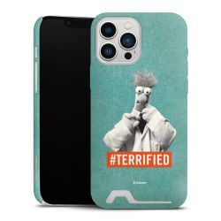 Premium Card Case matt